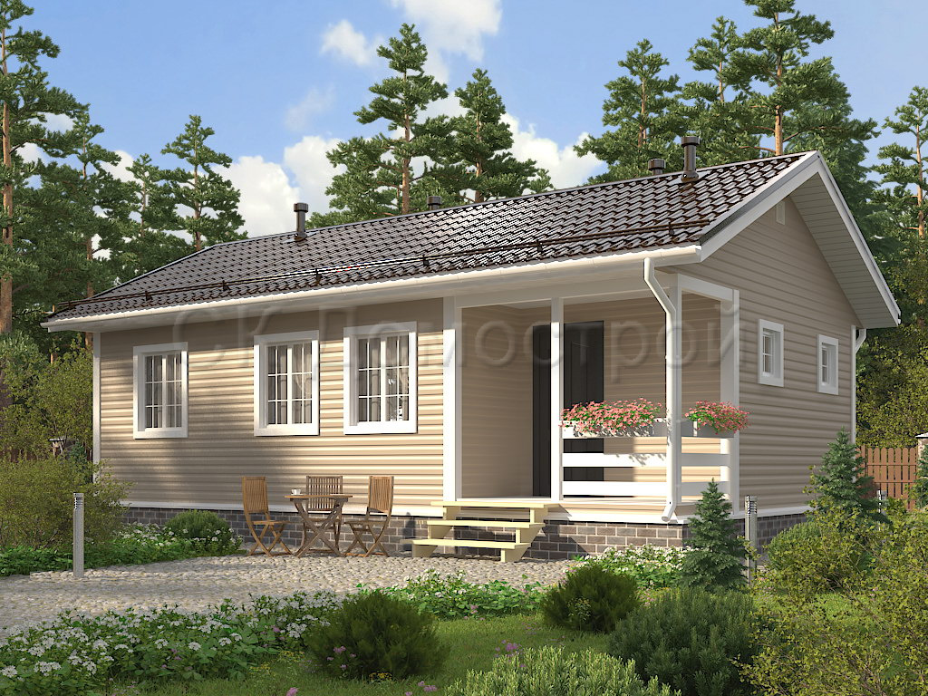 Дом «Владиславов» 6х10 м