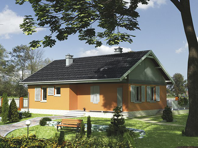 Проект A-081-1P