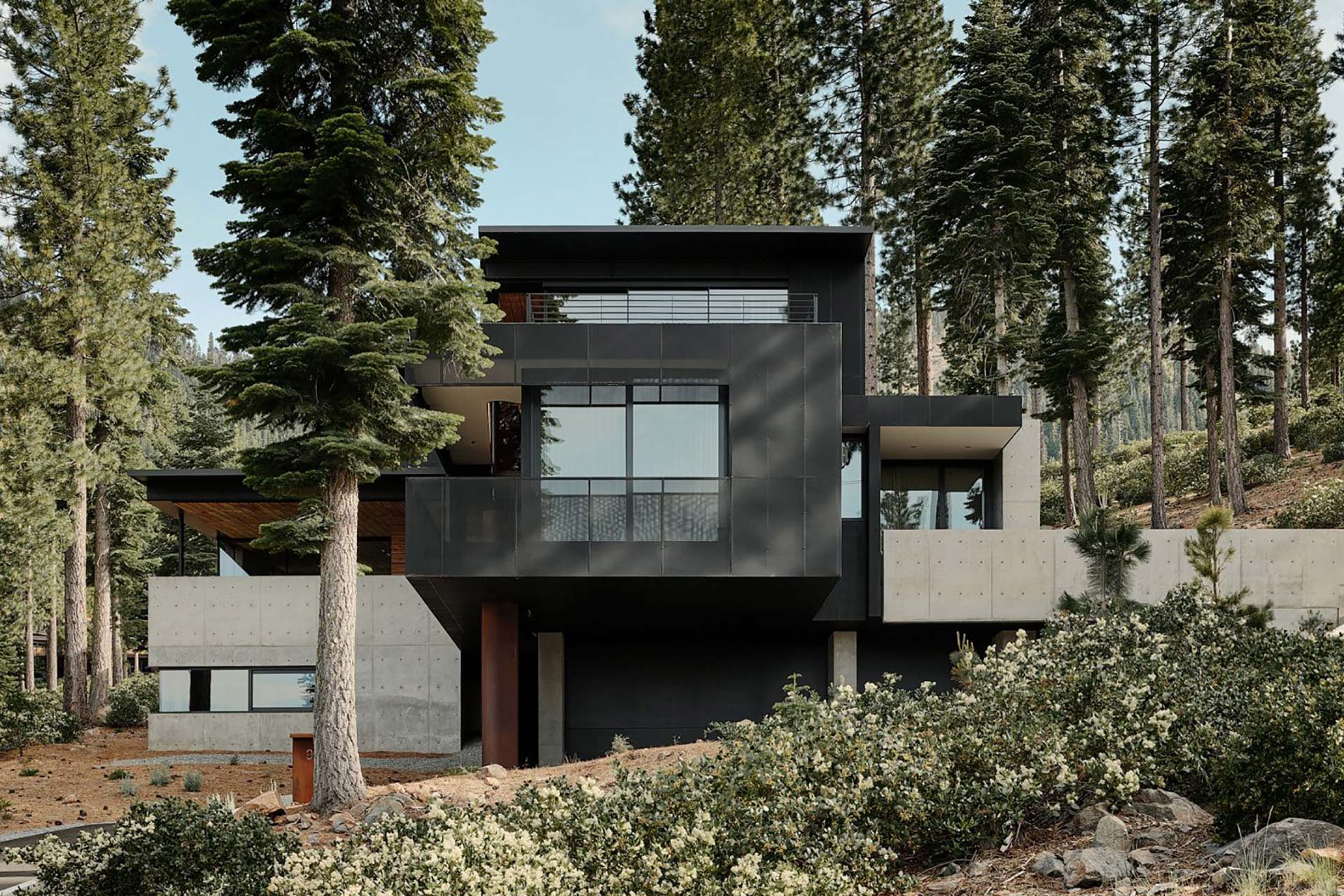 Проект «Davis»